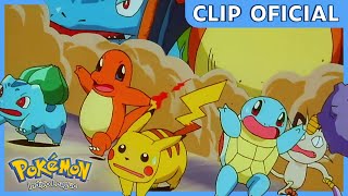 ¡Un Pikachu GIGANTE  Pokémon Liga Añil  Clip oficial [upl. by Amerak]