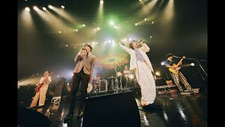 OKAMOTOS『Rock n’ Roll Star feat ROY』THE BAWDIES × OKAMOTOS SPLIT TOUR 2023「ON STAGE」 [upl. by Arremat]