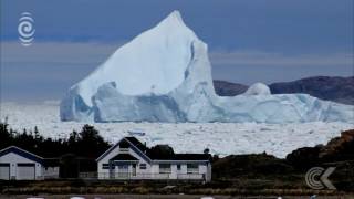 Icebergs most beautiful and vulnerable at the end of their lives [upl. by Cohligan]