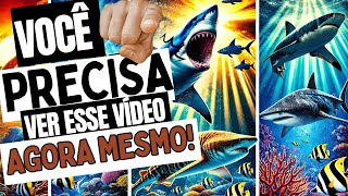 COMPILADO DE VIDEOS DO CANAL [upl. by Hassin899]