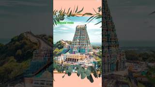 ✨💥Aarupadai veedu konda Thirumuruga🙏🌟 devotional murugansong [upl. by Harlen]