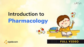 Introduction to Pharmacology  Pharmacokinetics and Pharmacodynamics Basics [upl. by Eesak158]