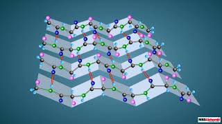 Proteins and their Structure [upl. by Larrie]