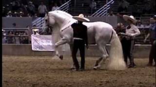 El Molinete de Ezequiel Pena en la Feria del Caballo Espanol [upl. by Fiester]