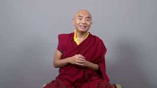 A special birthday message from our beloved teacher Yongey Mingyur Rinpoche [upl. by Nelleoj]