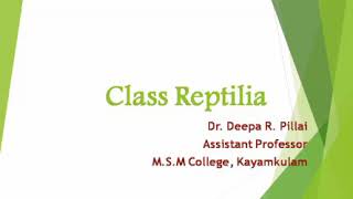 Class Reptilia Part1 Analsida Parapsida [upl. by Enajyram]