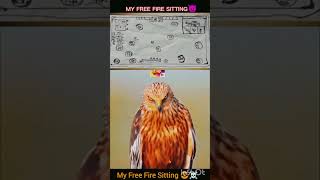 My Free Fire Sitting trending shorts [upl. by Nassi]