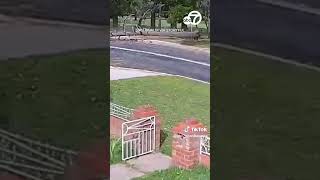 Tree falls across Australian roadway seconds after car drives by [upl. by Olive]