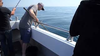 Deep Water Wreck Fishing Alderney Day 4 [upl. by Enajyram]