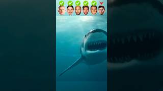 Haaland Vs Zlatan Vs Neymar Vs Ramos Vs Ronaldo Vs Messi Diving Challenge [upl. by Aimehs870]