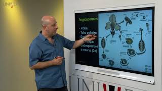 Taxonomia Vegetal  Aula 08  Espermatófitas II Angiospermas  Angiospermas basais [upl. by Vaios]