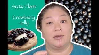 What are crowberries Alaska Native plants  Crowberry Jelly recipe [upl. by Folger]