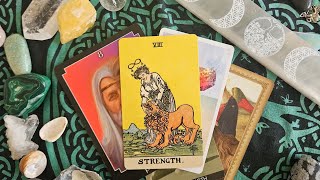 8 minute Tarot Lesson on The Strength Card 5 different tarot decks learntarotstrengthcardRWS [upl. by Katy]