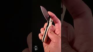 УДИВИТЕЛЬНО ХОРОШИЙ ASMR Kizer Yorkie by Ray Laconico [upl. by Jaynes]