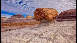 Petrified Forest National Park and the Painted Desert of NE Arizona [upl. by Ocirema34]