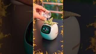 Worlds Most EXPENSIVE Flower Pot  Technical flower pot techreview shorts techstuff techthings [upl. by Apicella]