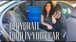 HOW TO DEHYDRATE FOOD OFF GRID  Dehydrate in a Car [upl. by Cocks]