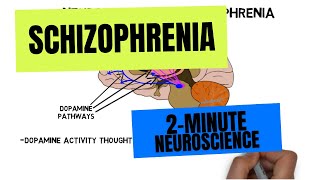 2Minute Neuroscience Schizophrenia [upl. by Atsahs]