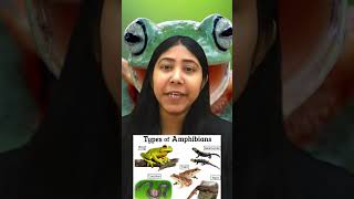 Class Amphibia  Characteristics and Examples  Tetrapod Animal  Biology  Class11  Adhyayanta [upl. by Itnahs]