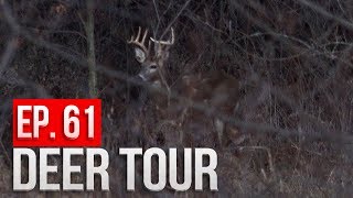 GUN HUNTING A BEDDING AREA  DEER TOUR E61 [upl. by Anasor]