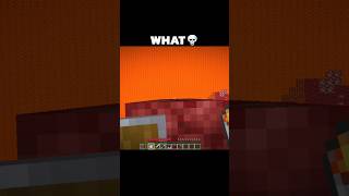 Minecraft WHAT Moment shorts minecraft minecraftshorts [upl. by Voleta]