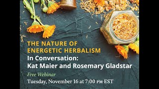 THE NATURE OF ENERGETIC HERBALISM In Conversation with Kat Maier and Rosemary Gladstar [upl. by Ahsekan]