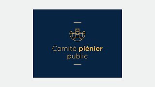 Comité plénier public du 6 juin 2023 [upl. by Oiralednac]