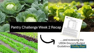 Pantry Challenge Week 2 Recap  Reviewing USDA Grocery Budget Guidelines [upl. by Phillane27]