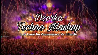 Michel Sardou  Les Lacs Du Connemara Vs R3SPAWN  Liberte TECHNO MASHUP Dzorka [upl. by Rawde926]