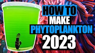 How to make Phytoplankton [upl. by Xel]