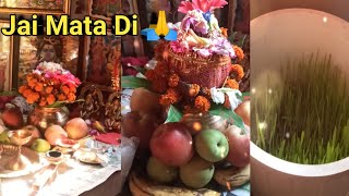 Navratri Pujan 🙏🥰  Navratri Puja Vedio  Maa Sherowali 🙏navratri navratrispecial navratri2024 [upl. by Asseret]