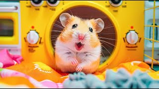 Hamster’s Daring Escape from the Iron Maze 🐹⚙️ Hamster Maze [upl. by Jezabelle]