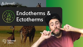 Endotherms amp Ectotherms  A Level Biology  OCR [upl. by Manson]