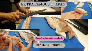 How to Cut Yellowtail for Sushi II Sashimi Cutting II Nigiri Sushi Part 2 [upl. by Tap]