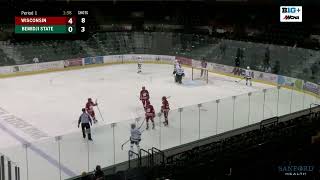 Wisconsin Hockey  Highlights vs Bemidji State 2924 [upl. by Ahsilac]