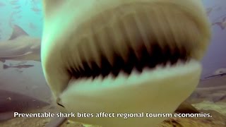 Electronic Shark Safety Test eShark FORCE [upl. by Lagiba986]