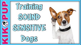 Training Sound Sensitive Dogs [upl. by Eirallam460]