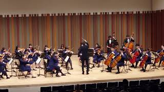 Tchaikovsky Serenade for Strings IV Finale  Super Kids Orchestra  Conductor Riku Okamoto [upl. by Hterrag]