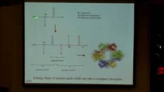 35 Enzyme catalysis [upl. by Kenzie]