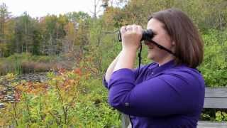 How to get crystal clear focus with your binoculars [upl. by Anaid]