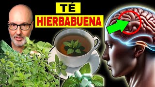 ENFERMEDADES que SANAN con TÉ de HIERBABUENA CÓMO USARLA [upl. by Asiak650]