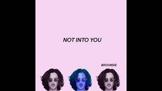 Brooksie  Not Into You audio [upl. by Ertnom409]