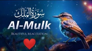 The Most Beautiful Quran Recitation [upl. by Berkley]