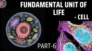 Fundamental Unit of Life Cell  Part 6 ScienceInvincibleSciencek5i [upl. by Endor240]