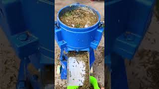 Electric poultry chicken feeds grass pellet making machine diesel cattle pelletizer machine [upl. by Aitram631]