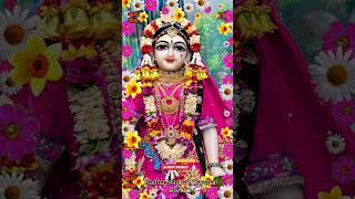 081124  Radha Madhav Darshan daily live darshan [upl. by Lokkin]