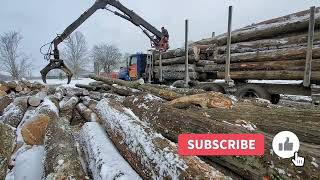 International Paystar Loading Logs Prentice Loader 120E [upl. by Einuj]