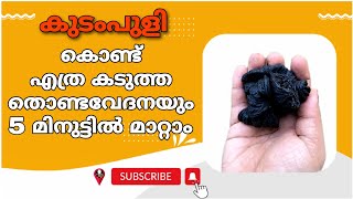 തൊണ്ട വേദന ഇനി ഒരു ശല്യം ആകില്ല  severe throat pain home remedies malayalam  thonda vedana maran [upl. by Aligna415]