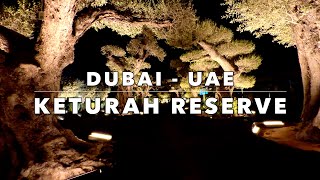 Keturah Reserve Dubai UAE [upl. by Juback451]