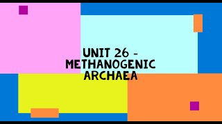 Methanogenic Archaea [upl. by Felten769]